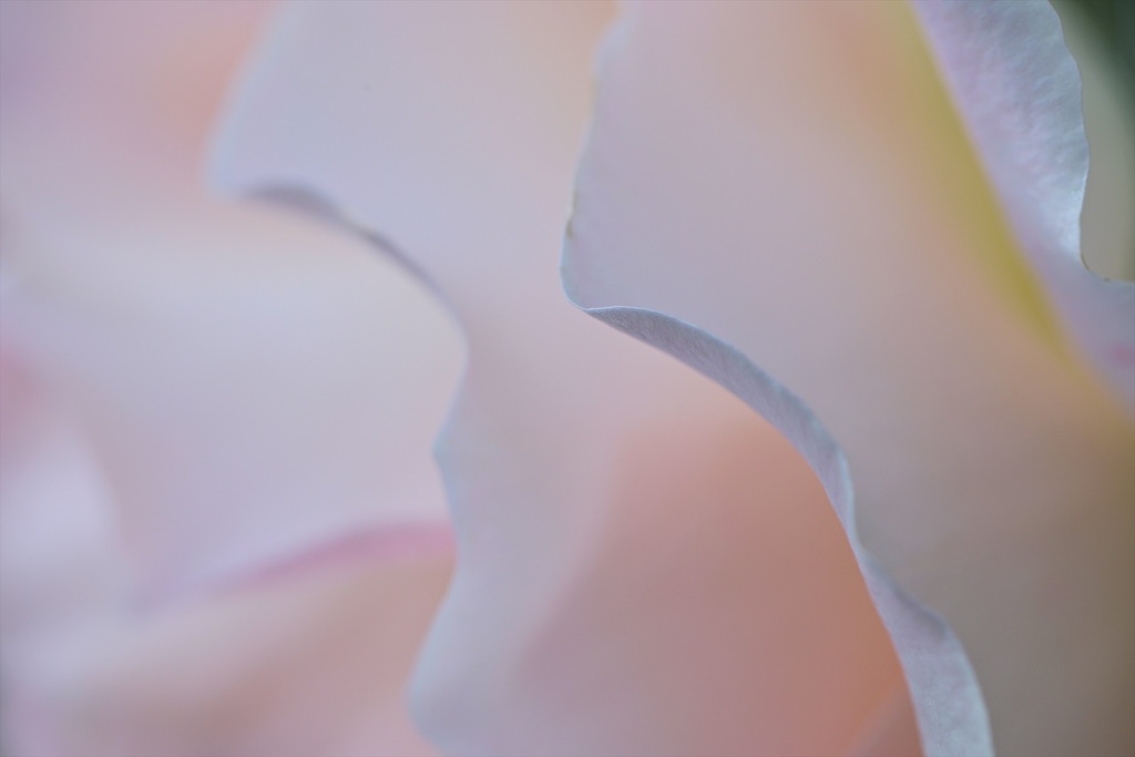 色と形