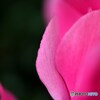 緩やかな曲線　３