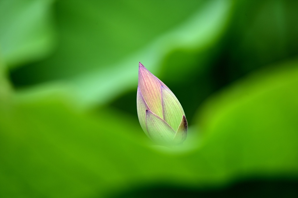 静かに