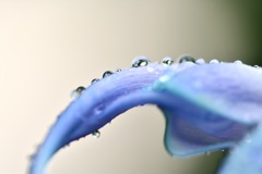 水滴
