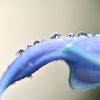 水滴