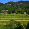 棚田に秋が来た