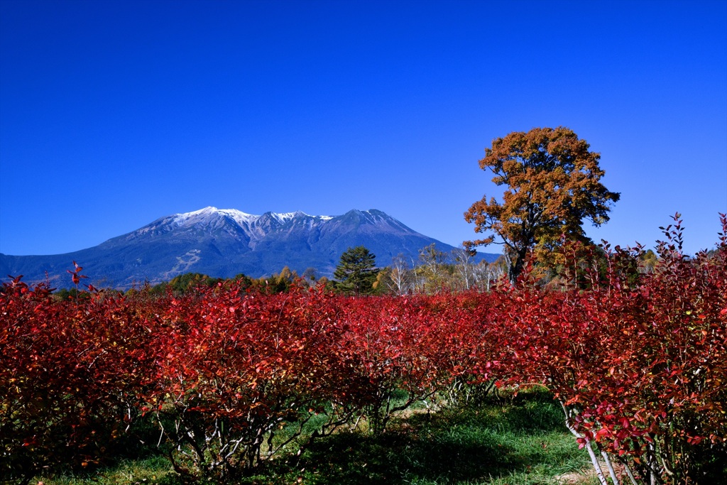 木曽御嶽山