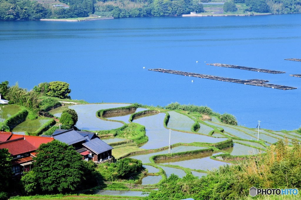 上ケ倉の棚田