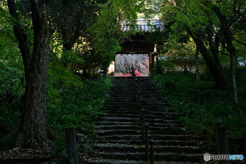 静かな朝