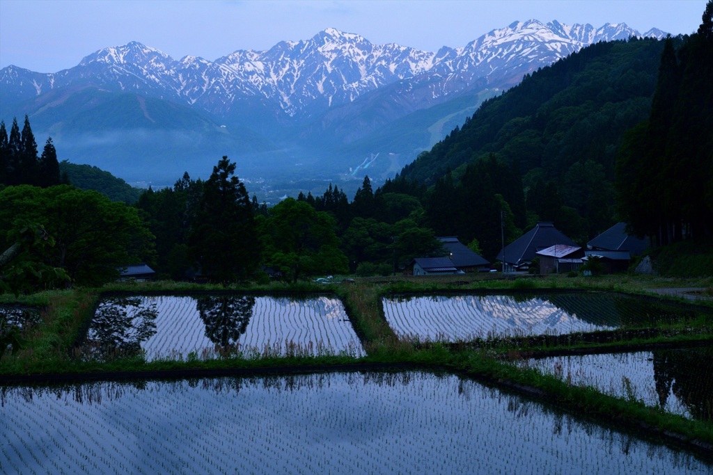 青鬼の棚田