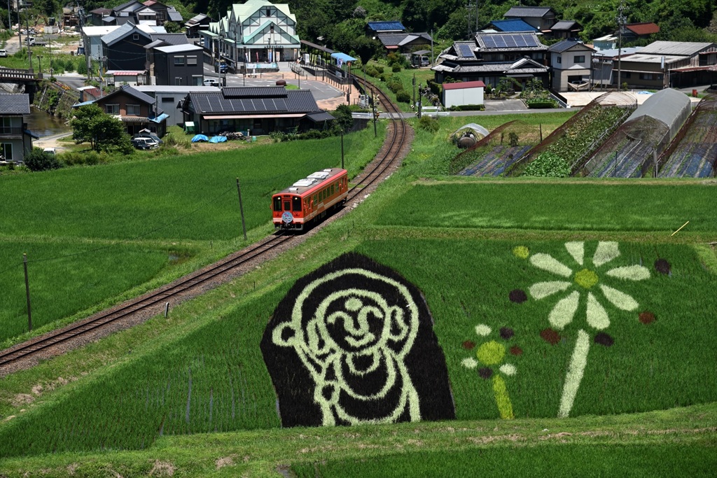 今年も来ました