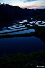 日没後の棚田