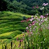 季節は動く