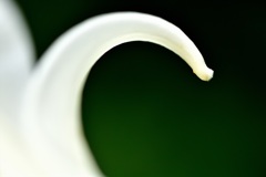 ライン３