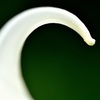 ライン３