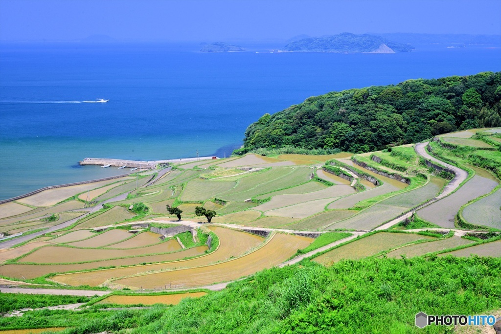 土谷の棚田