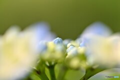 のぞいてみたら