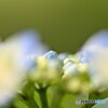 のぞいてみたら