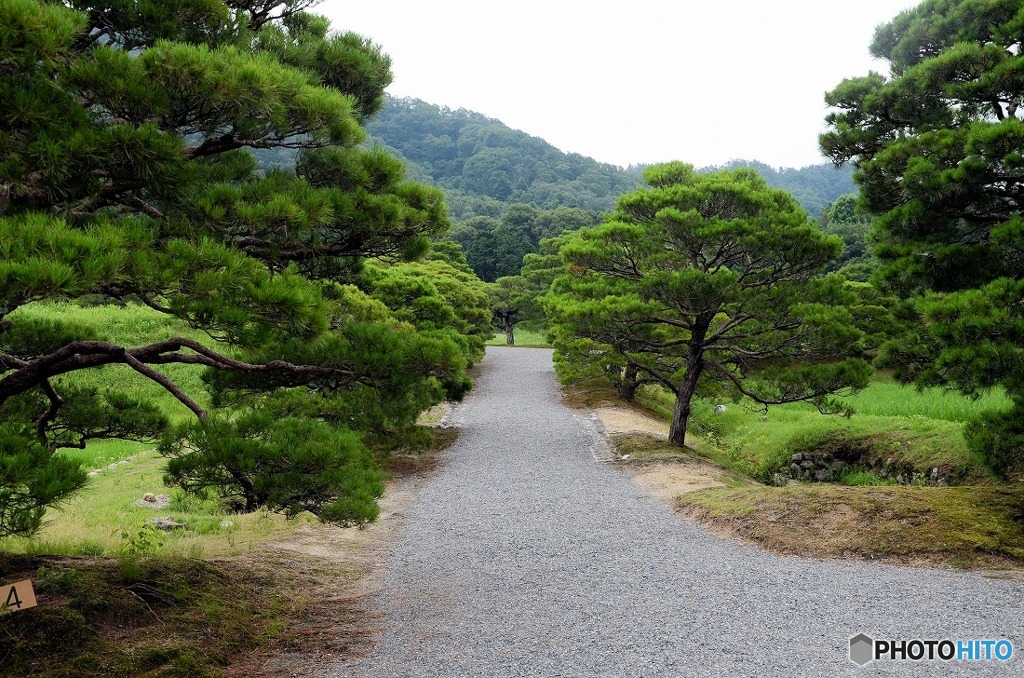 修学院