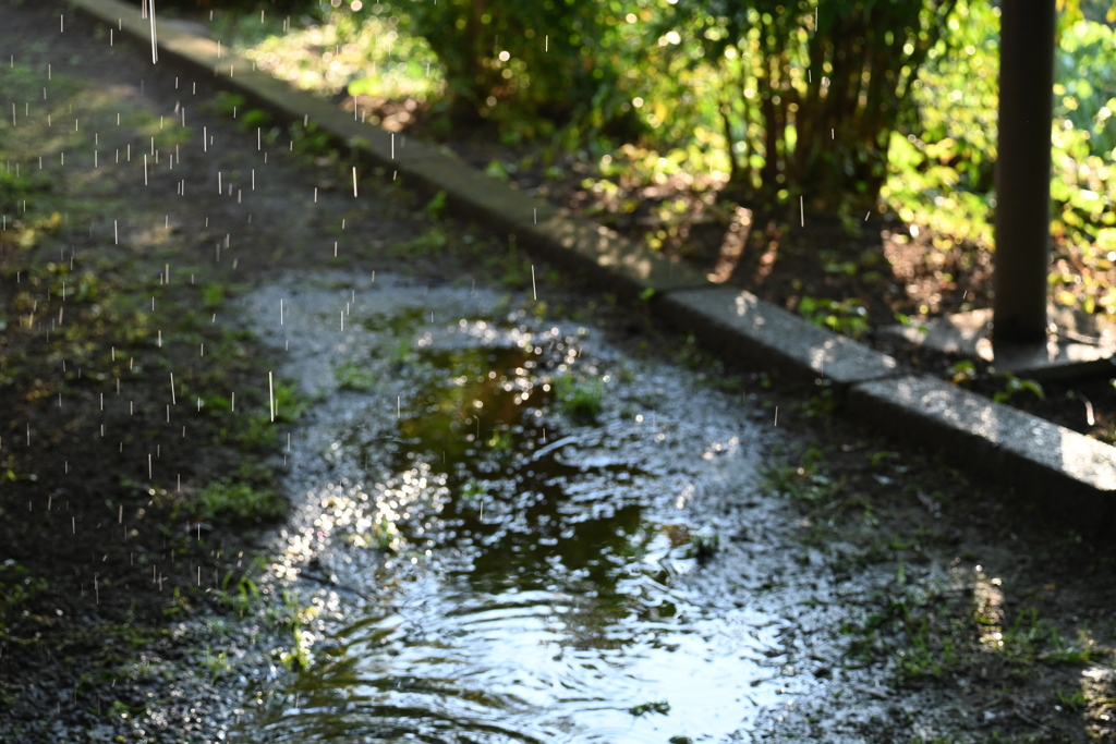 雨上がり