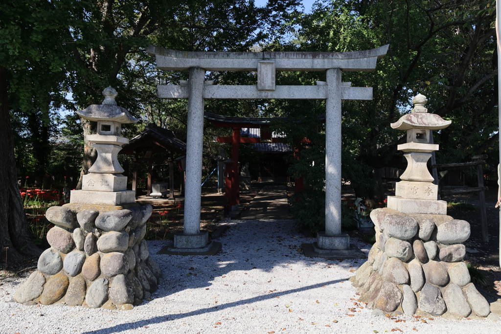 地元の彼岸花