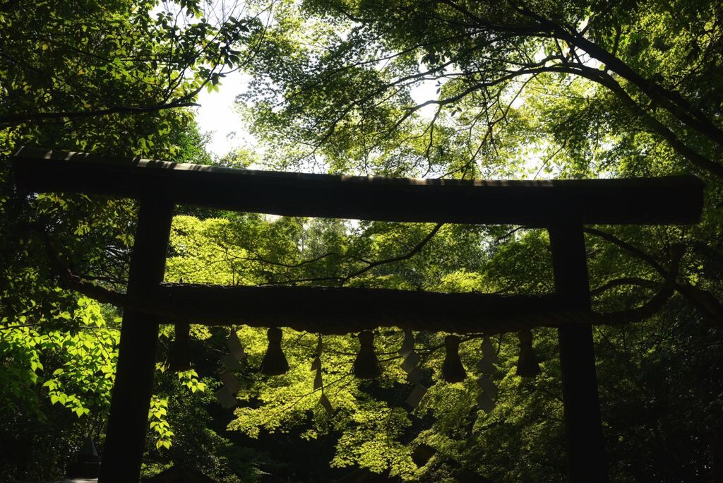 野宮神社