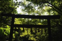 野宮神社