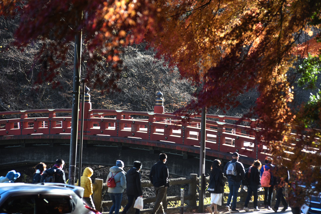 神橋と紅葉