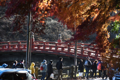 神橋と紅葉