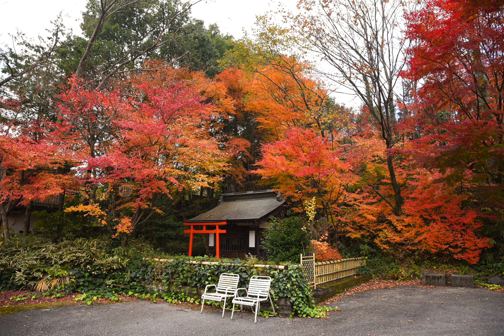 紅葉と小さいな神社