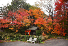 紅葉と小さいな神社