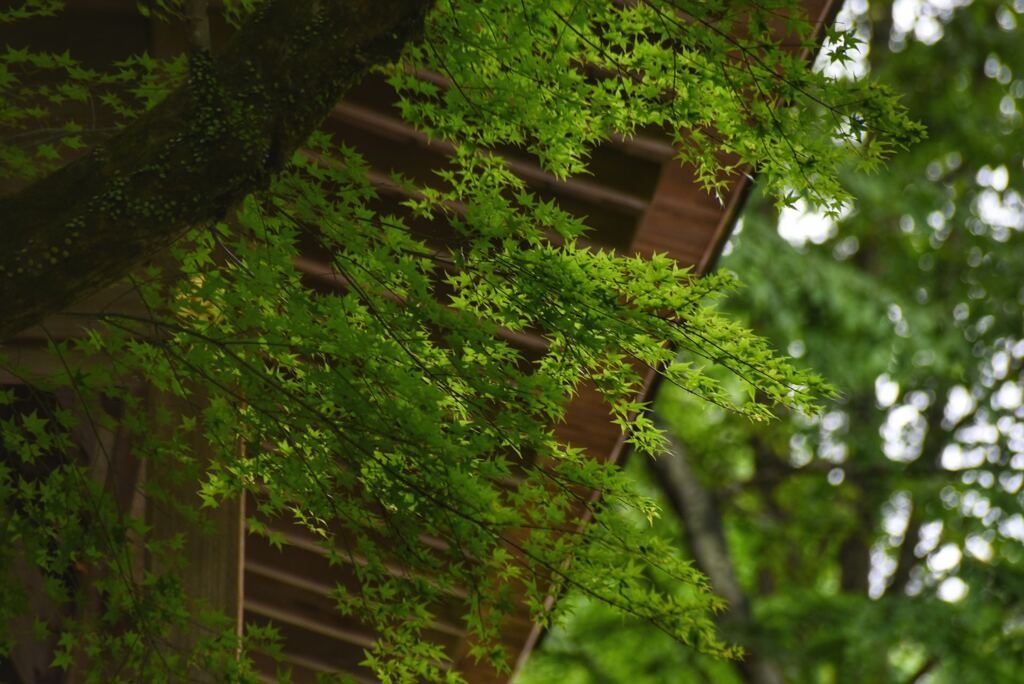 貴船神社