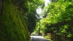 瑠璃光院への道