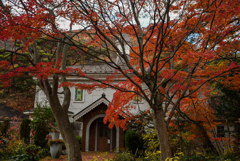 日光人形の美術館と紅葉