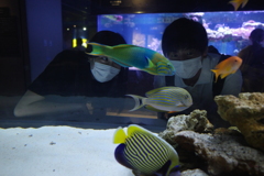 墨田水族館1