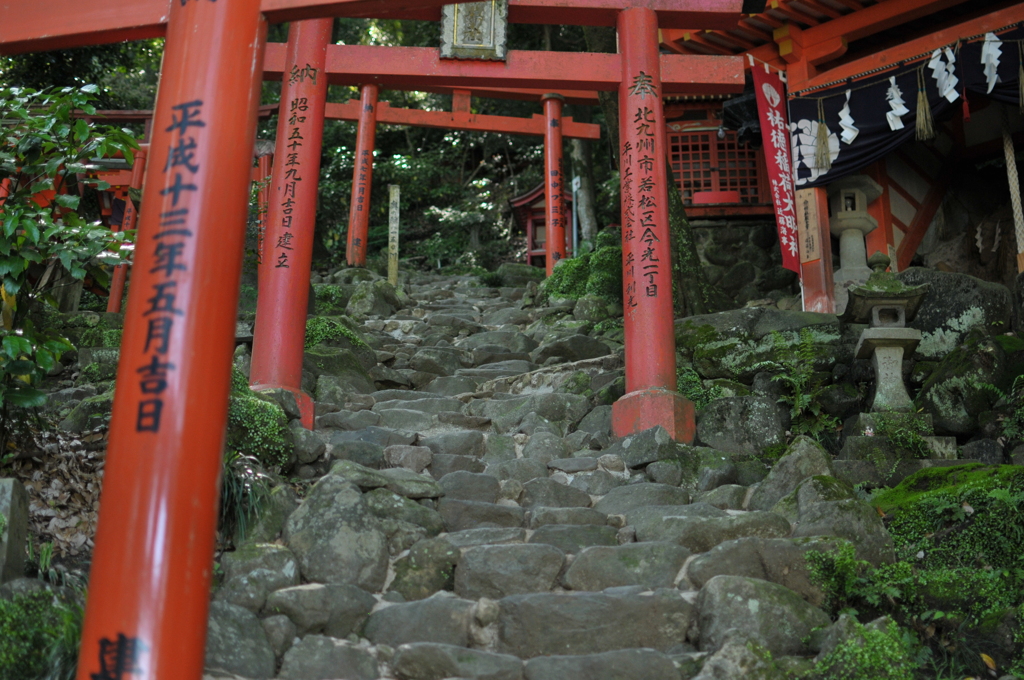 祐徳稲荷神社