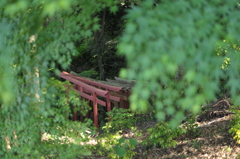 祐徳稲荷神社