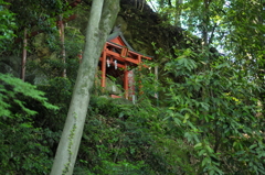 祐徳稲荷神社