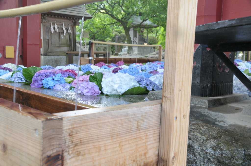 大宰府天満宮の花手水