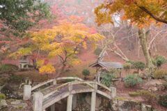 秋の尾関山公園とその周辺散歩