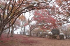 秋の尾関山公園とその周辺散歩