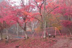 秋の尾関山公園とその周辺散歩