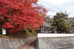 秋の尾関山公園とその周辺散歩