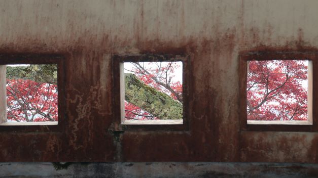 秋の尾関山公園とその周辺散歩