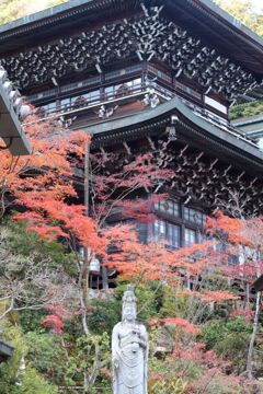 安芸の宮島