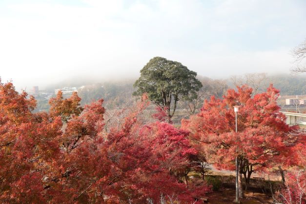 秋の尾関山公園とその周辺散歩