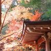 三滝寺散歩