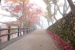 秋の尾関山公園とその周辺散歩