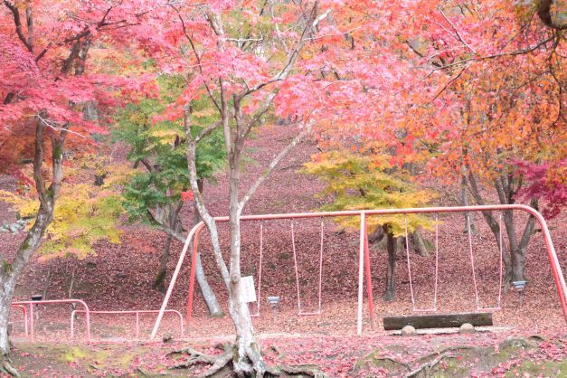 秋の尾関山公園とその周辺散歩
