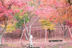 秋の尾関山公園とその周辺散歩