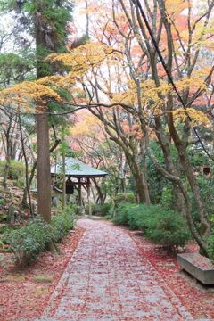 三滝寺散歩
