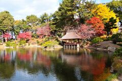 秋の縮景園