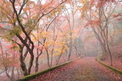 秋の尾関山公園とその周辺散歩