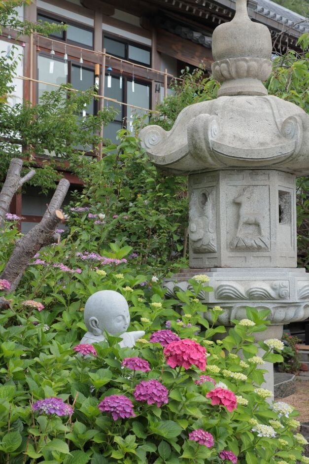 観音寺　あじさい祭り